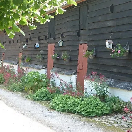 Les Pinsons Saint-Tricat